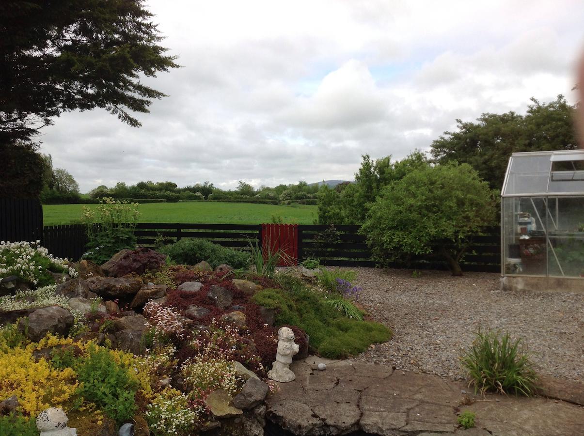 Barrow View Accommodation Mountmellick Luaran gambar